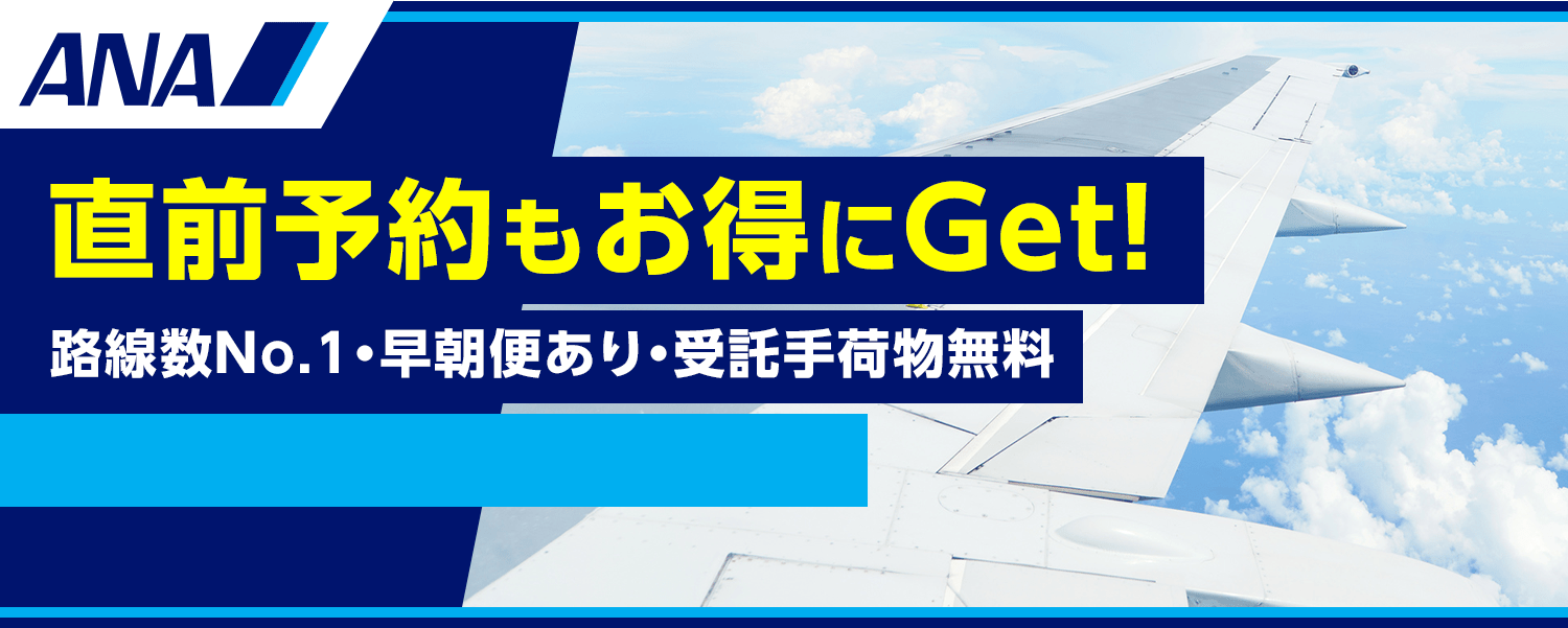 ANA（全日空）の最安値検索予約｜国内格安航空券・飛行機の予約はソラハピ