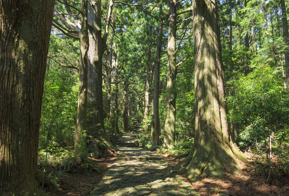 和歌山