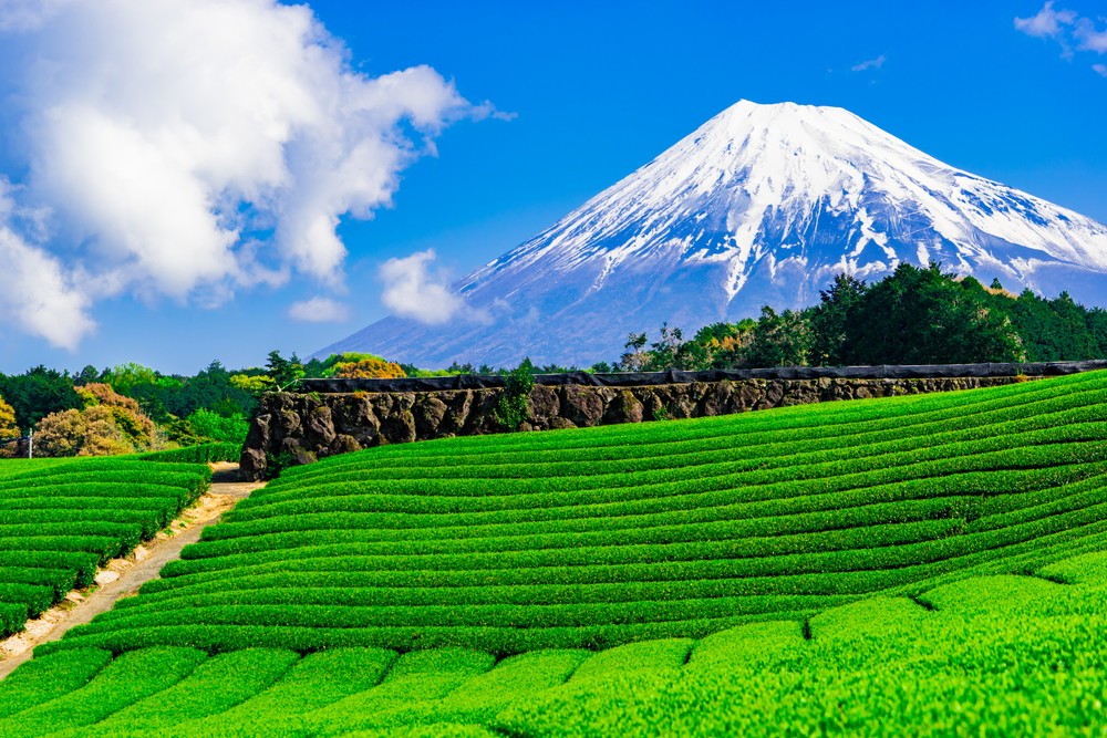 静岡